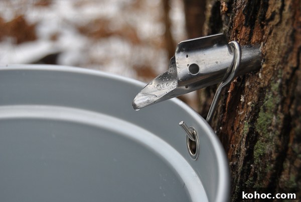 featured 19413