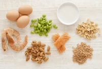 Food Allergy Facts: Common Questions, Myths, and Answers
