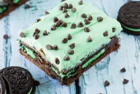 Mint Chocolate Chip Brownies Recipe — Decadent Minty Chocolate Bars