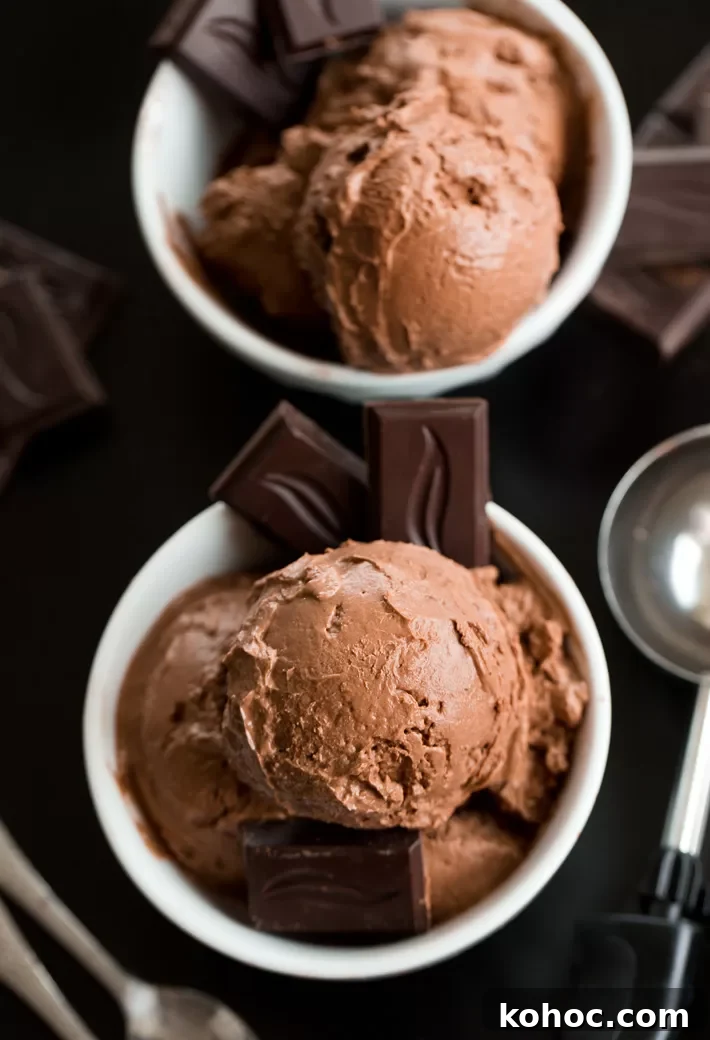 Homemade Strawberry Sorbet: Fresh, Bright & Dairy-Free Recipe 7 Homemade Chocolate Frozen Yogurt
