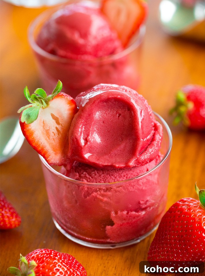 Egg Free Strawberry Dessert Gelato Egg Free Strawberry Dessert Gelato