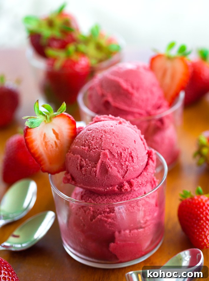 Vegan Summer Strawberry Sorbet Vegan Summer Strawberry Sorbet