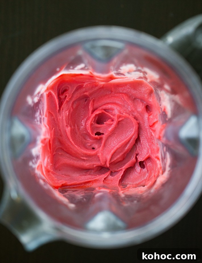 Homemade Blender Strawberry Sorbet Homemade Blender Strawberry Sorbet