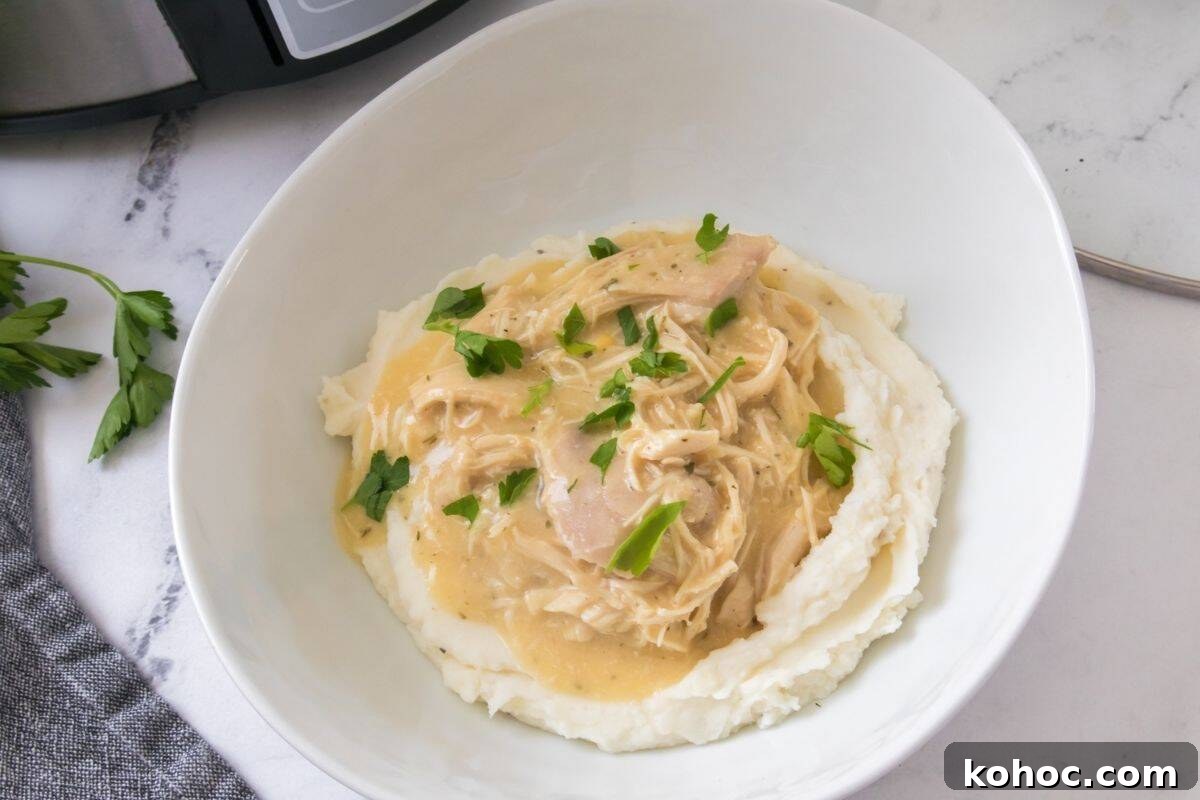 23 Dump-and-Go Slow Cooker Recipes That Taste Homemade 4 A bowl of mashed potatoes topped with shredded chicken in creamy gravy, garnished with chopped parsley.