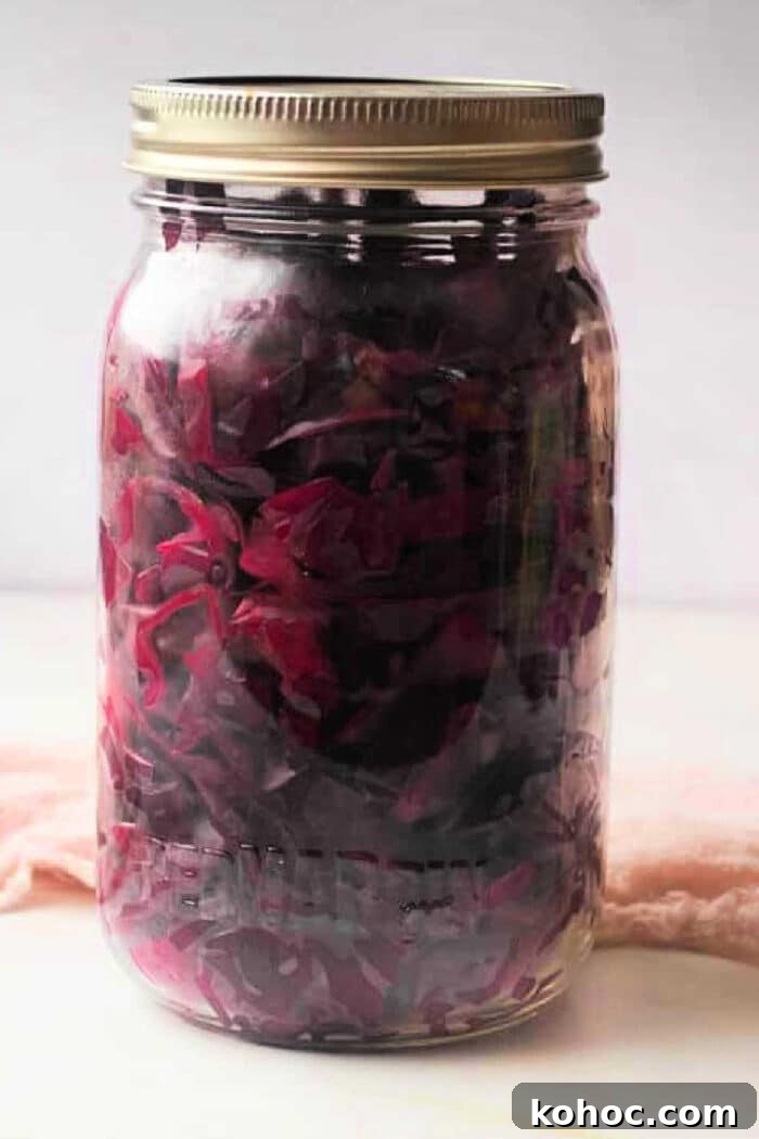 Crisp Pickled Red Cabbage Recipe for Tangy Homemade Slaw 2 A jar of purple pickled cabbage with a metal lid rests on a light surface, showcasing the vibrant color and tangy aroma reminiscent of a classic pickled red cabbage recipe.