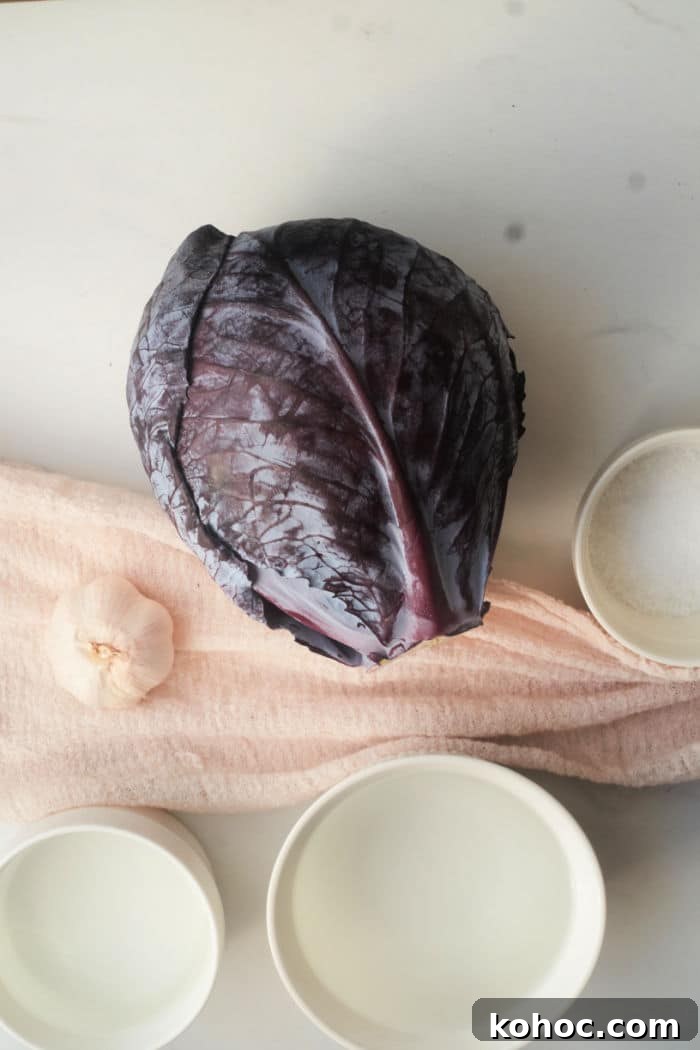 Crisp Pickled Red Cabbage Recipe for Tangy Homemade Slaw 3 pickled red cabbage