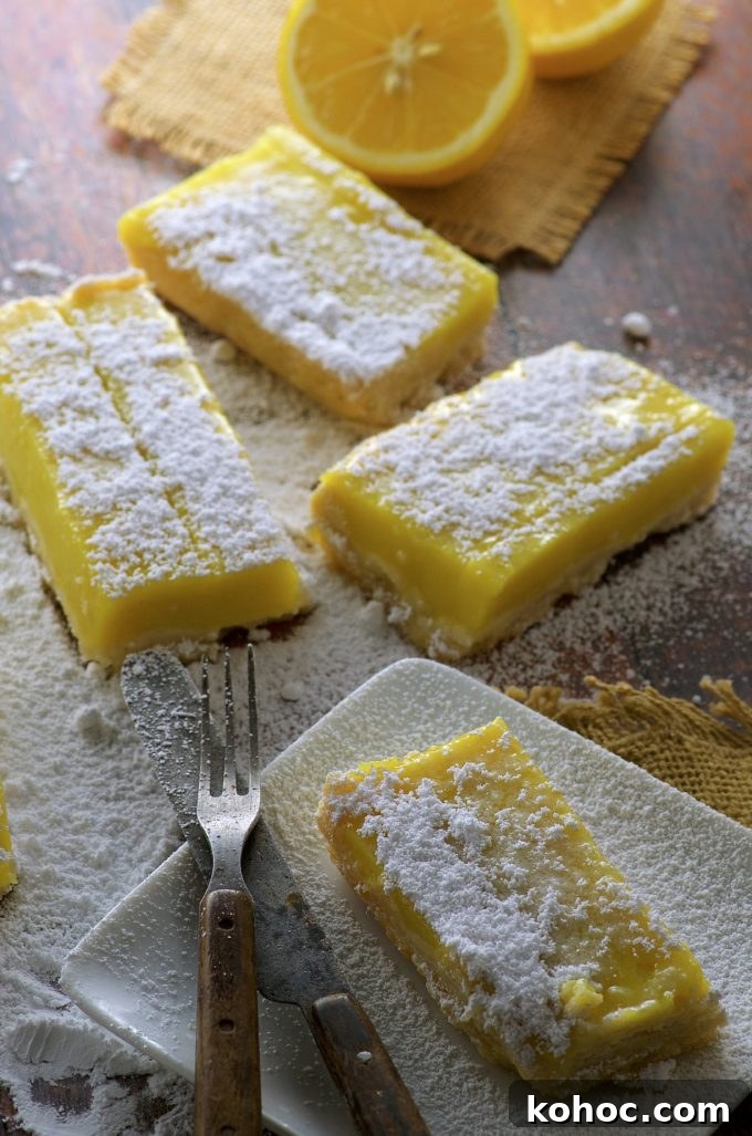 Vegan Meyer Lemon Bars That Spark a Moral Dilemma 3 Vegan Meyer Lemon Bars. Addictively refreshing not too sweet dessert. Yes, we have these awesome Vegan Meyer Lemon Bars for you today but... could you help us out with an issue we're dealing with?