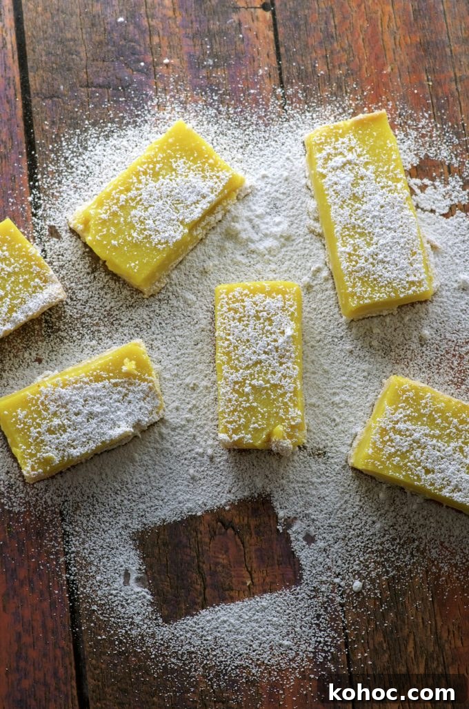Vegan Meyer Lemon Bars That Spark a Moral Dilemma 5 Vegan Meyer Lemon Bars. Addictively refreshing not too sweet dessert. Yes, we have these awesome Vegan Meyer Lemon Bars for you today but... could you help us out with an issue we're dealing with?