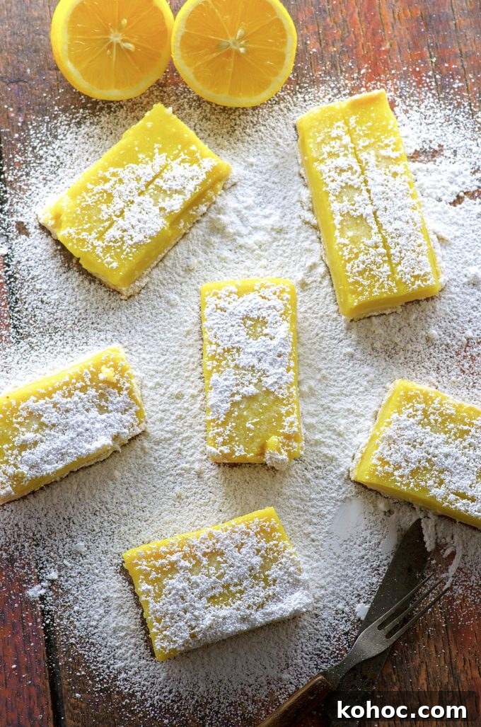 Vegan Meyer Lemon Bars That Spark a Moral Dilemma 6 Vegan Meyer Lemon Bars. Addictively refreshing not too sweet dessert. Yes, we have these awesome Vegan Meyer Lemon Bars for you today but... could you help us out with an issue we're dealing with?