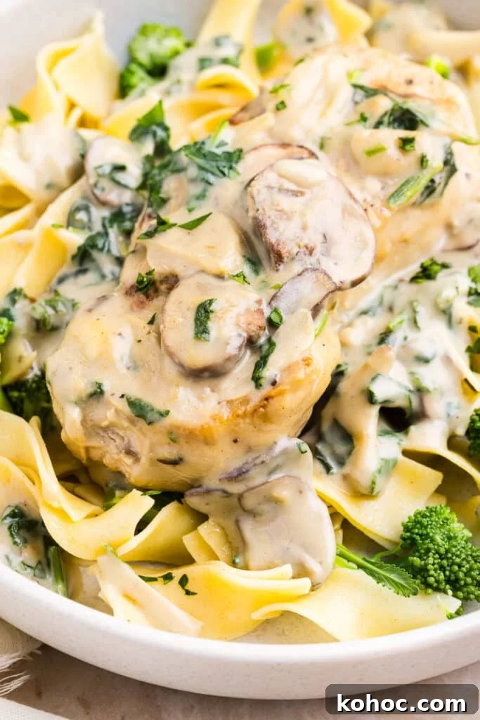 Creamy Garlic Pork Chops with Lighter Sauce 4 Creamy garlic pork chops on top of egg noodles with broccoli.