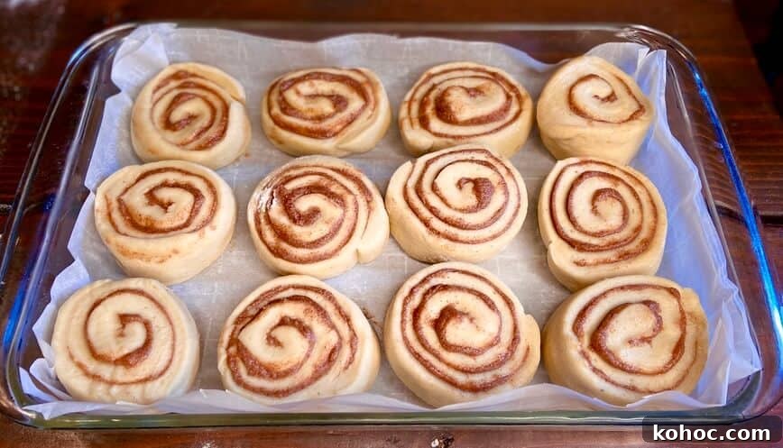 Soft Homemade Cinnamon Rolls with Cream Cheese Glaze 12 After second rising, ready for the oven.