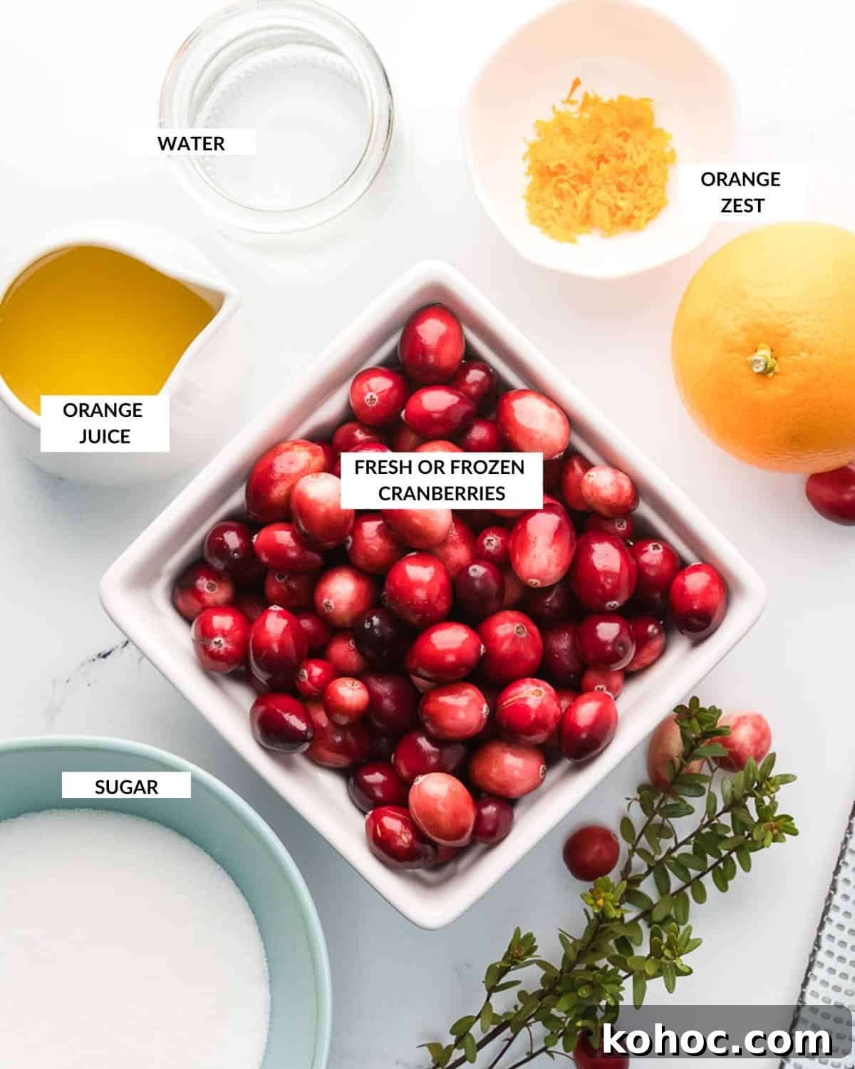 Overhead view of cranberry sauce ingredients, labeled.