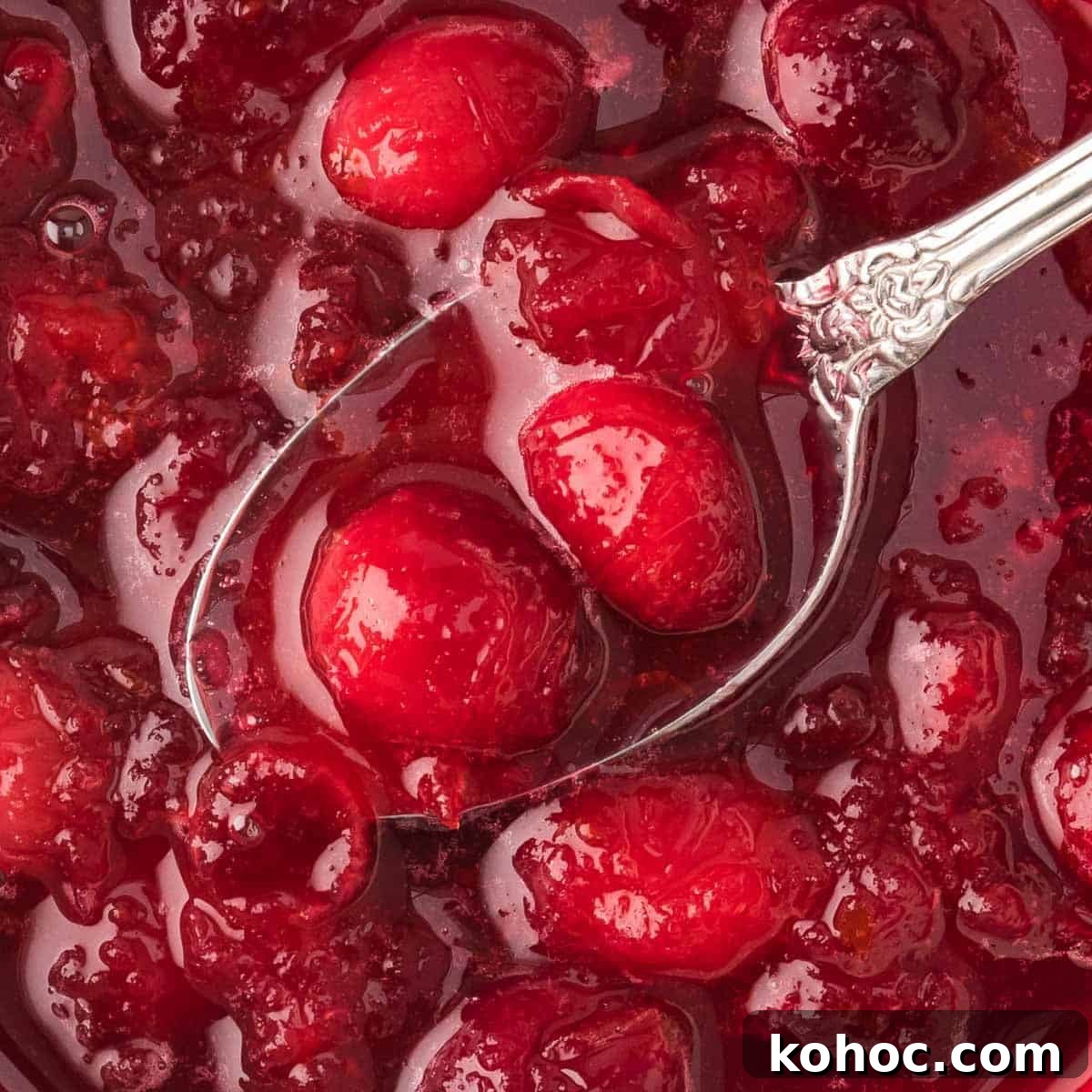 Close up view of spoonful of cranberry sauce