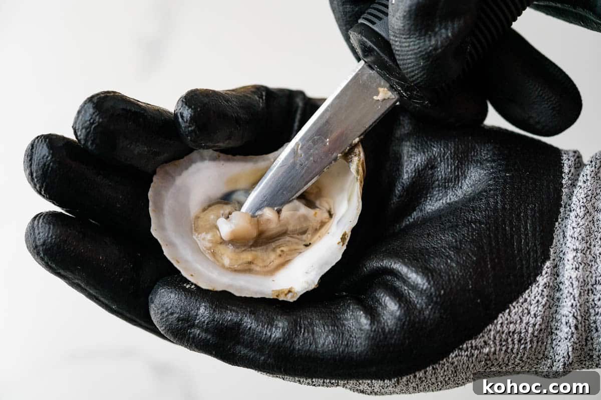 shuck the oysters.
