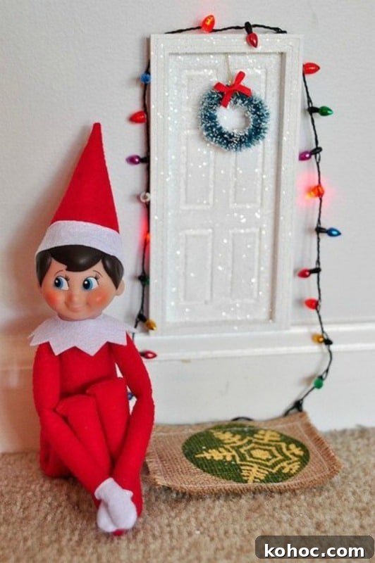 Image for Elf on the Shelf: Plane has Landed