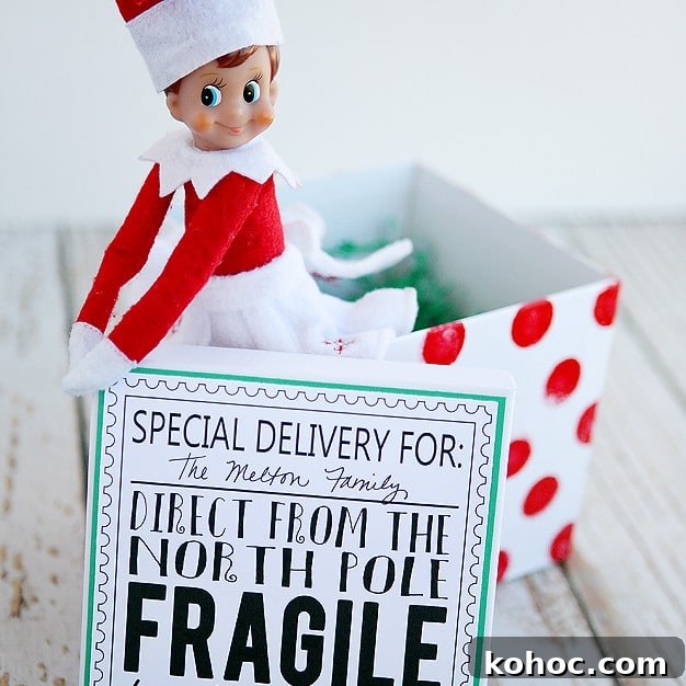 Image for 11 Epic Scout Elf Return Ideas