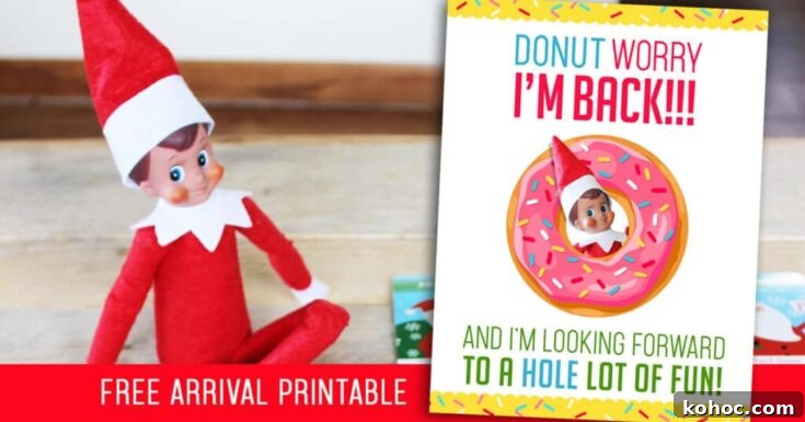 Image for Elf on the Shelf: 'DONUT Worry, I'm Back!!'