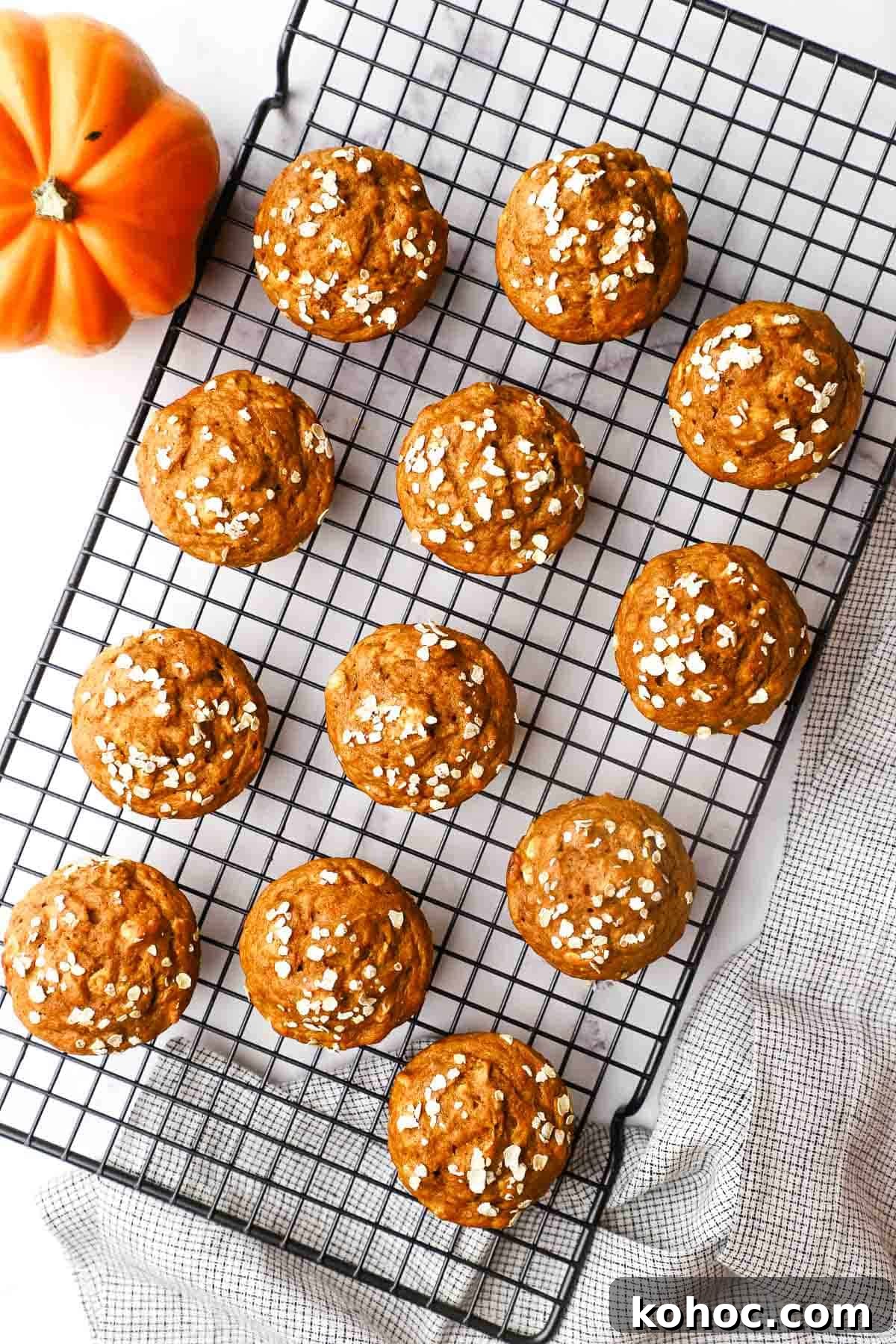 Moist Pumpkin Oatmeal Muffins with Warm Spices 8 baked pumpkin oatmeal muffins on a cooling rack