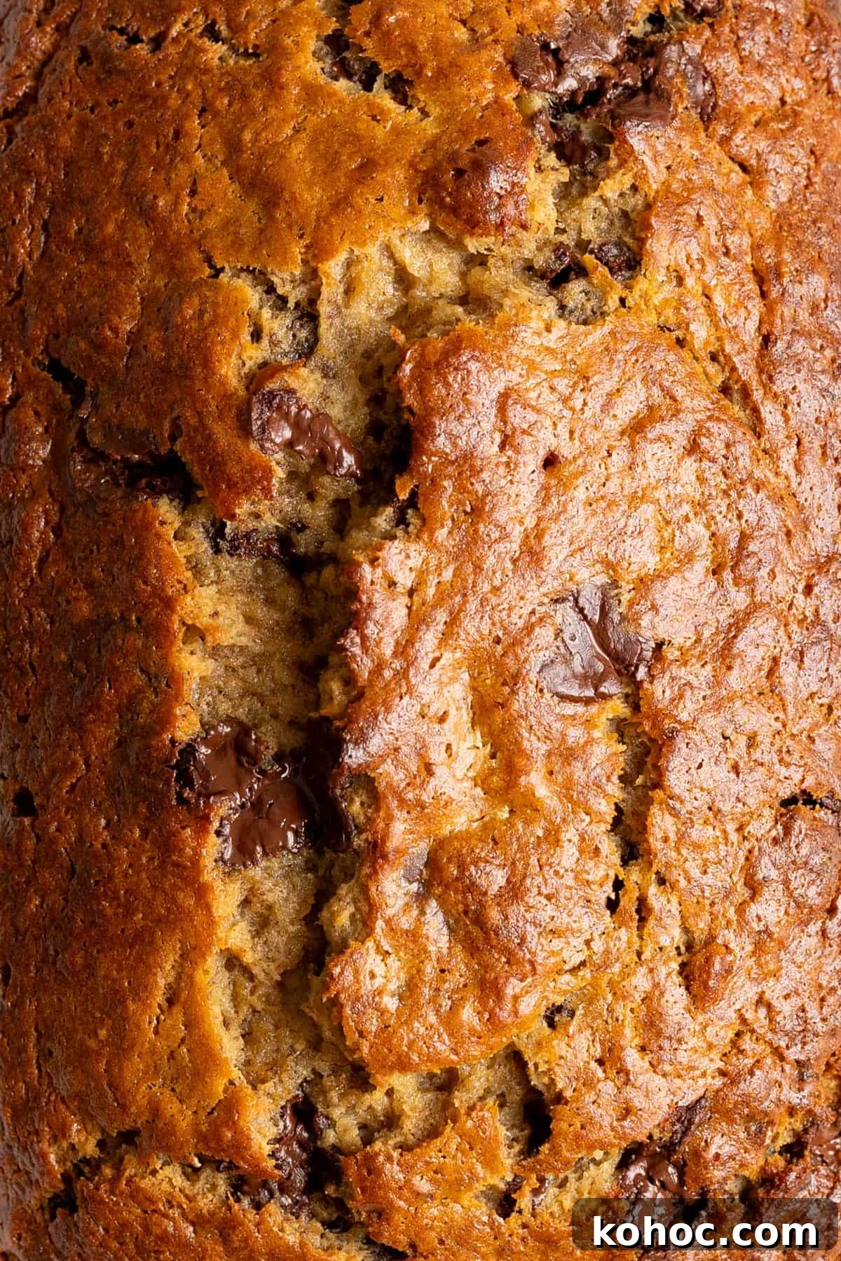 Top down view of a fully cooked chocolate chip banana bread.