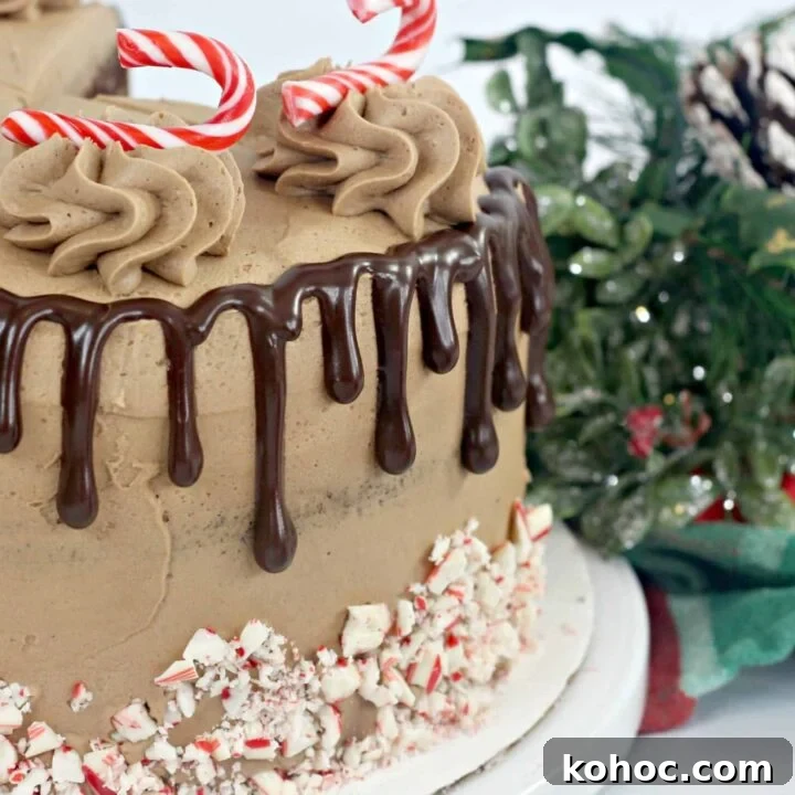 Image for Candy Cane Chocolate Cake Recipe