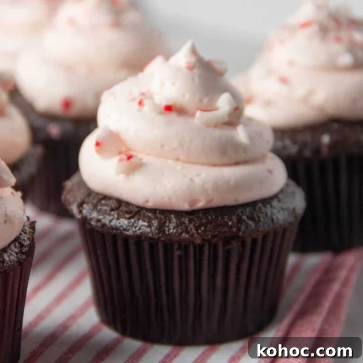 Image for Candy Cane Cupcakes