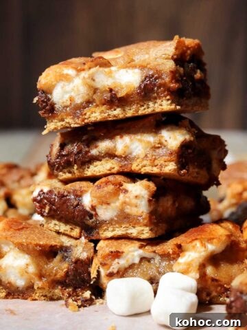 s'mores blondies