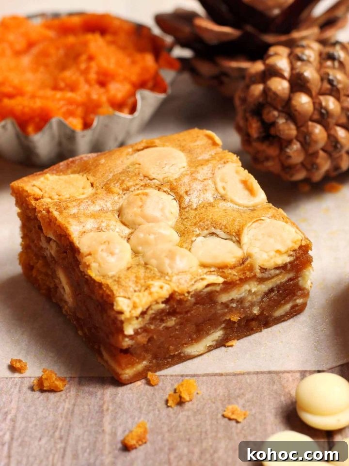 Fudgy Pumpkin Blondies with White Chocolate Chunks 8 single square of pumpkin blondies