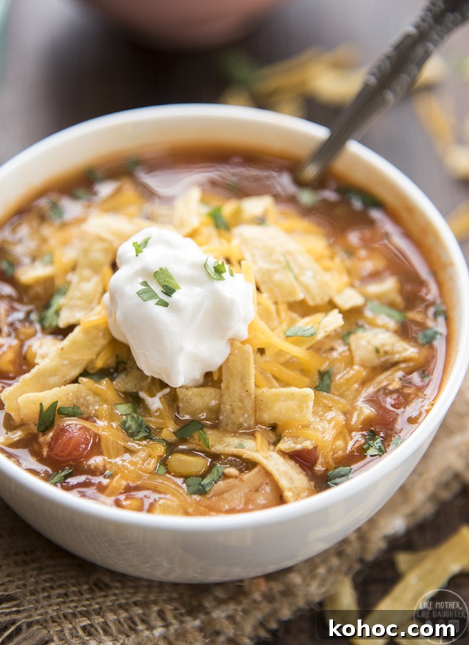 55 Top Slow Cooker Recipes for Family Meals 3 Slow Cooker Chicken Enchilada Soup