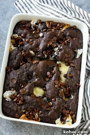 Oreo Truffles Recipe: Creamy No-Bake Chocolate Bites 6 Earthquake cake is a gooey delight loaded with chocolate, pecans and coconut.