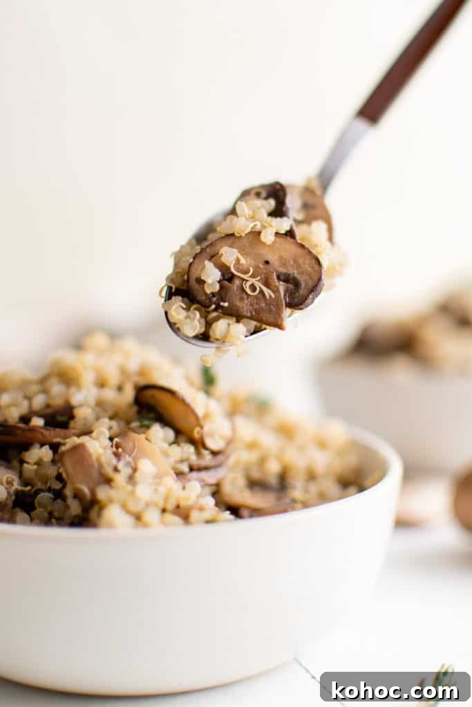 Mushroom Quinoa Recipe: Savory One-Pot Quinoa with Mushrooms 2 Mushroom quinoa on a spoon.