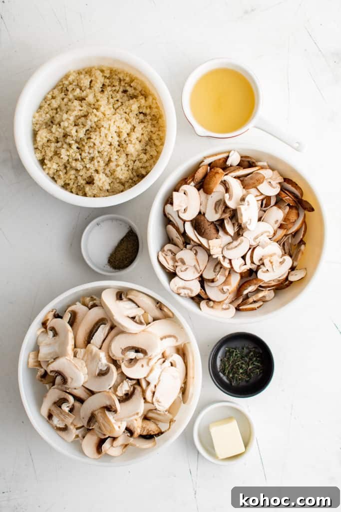 Mushroom Quinoa Recipe: Savory One-Pot Quinoa with Mushrooms 3 Ingredients needed for mushroom quinoa.