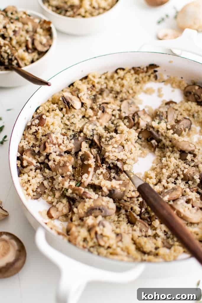 Mushroom Quinoa Recipe: Savory One-Pot Quinoa with Mushrooms 5 Close up view of a pot of quinoa mixed with mushrooms.