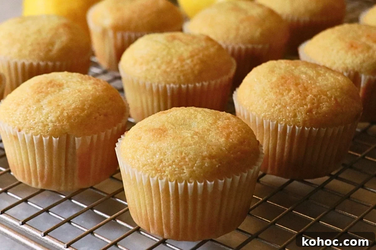 Zesty Lemon Cupcakes Recipe with Creamy Lemon Frosting 8 img 18747 13