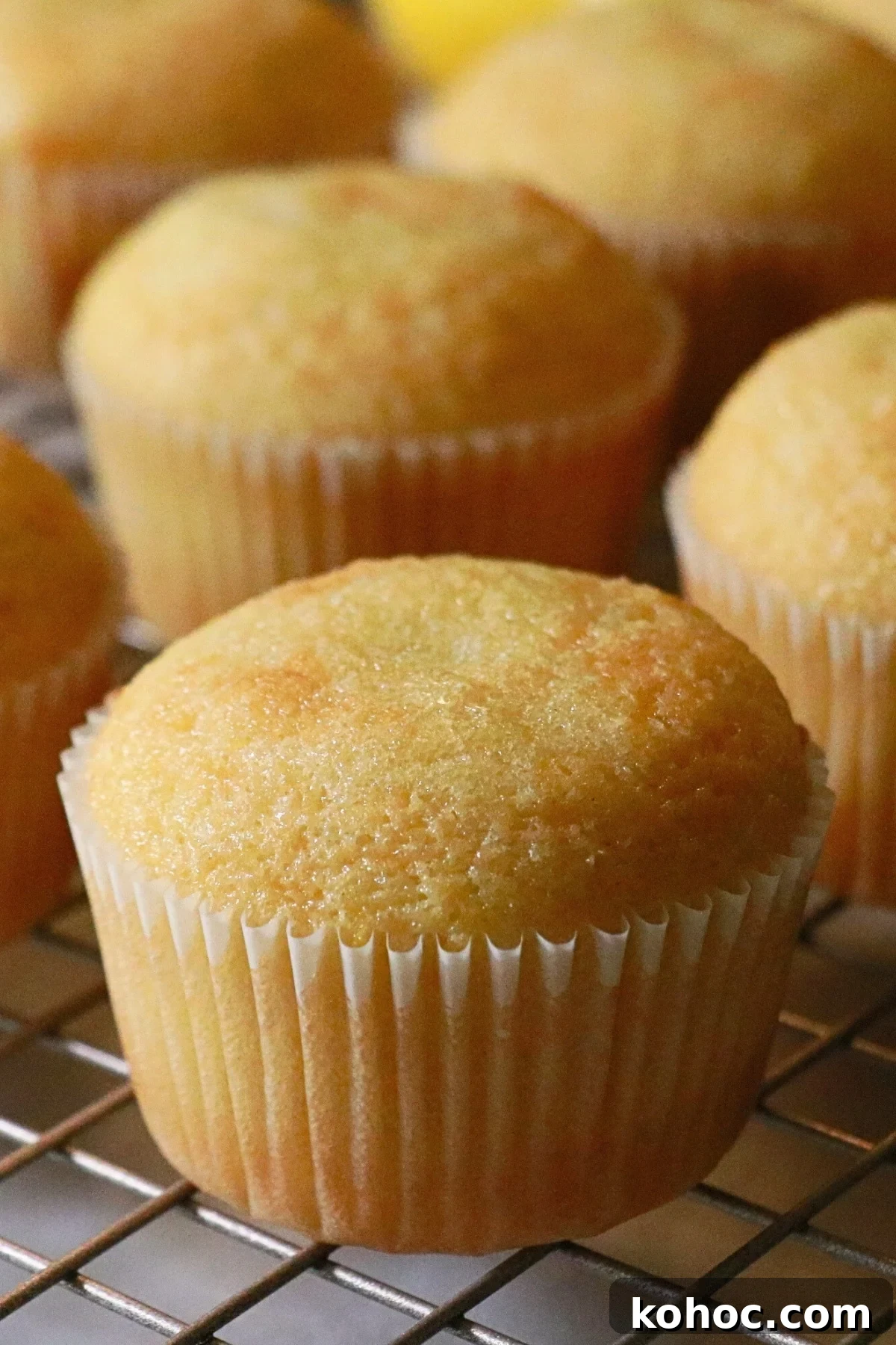 Zesty Lemon Cupcakes Recipe with Creamy Lemon Frosting 3 img 18747 2