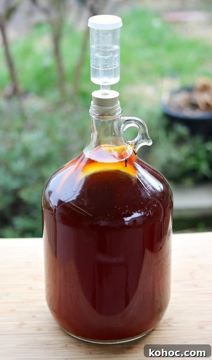 7 Creative Uses for Maple Sap Beyond Syrup 3 Spiced Maple Mead