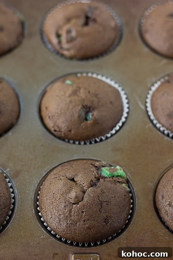 Mint Chocolate Oreo Vegan Cupcakes for Dessert Lovers 3 unfrosted cupcakes in the pan