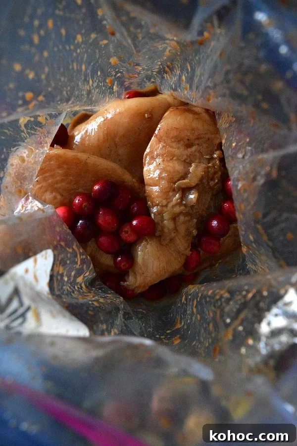 Balsamic Cranberry Chicken Bake Recipe for Holiday Dinners 2 chicken marinading in bag with cranberries