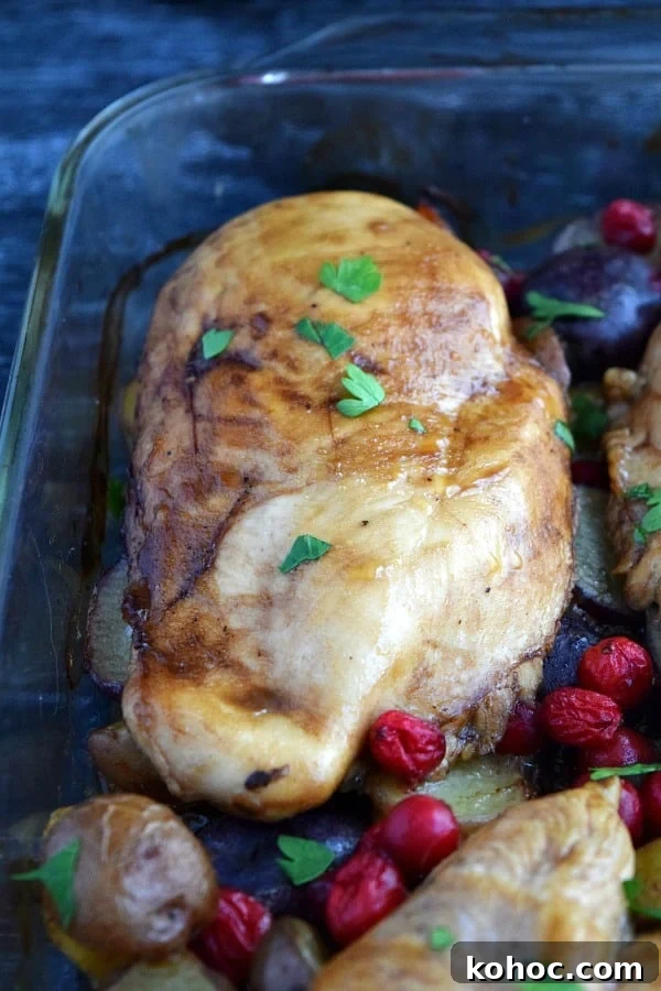 Balsamic Cranberry Chicken Bake Recipe for Holiday Dinners 3 close up of cooked chicken breast