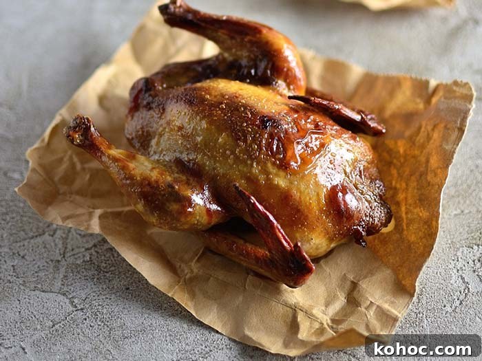 35 Mouthwatering Smoker Recipes for Beef, Ribs, Veg & More 17 smoked pheasant recipe