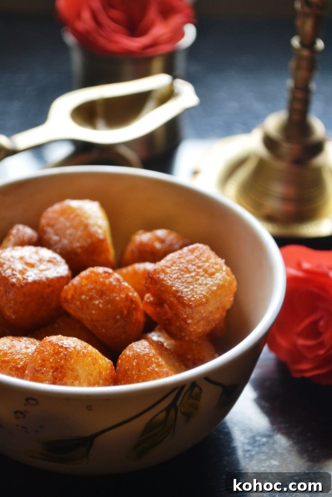 Fried chenna gaja pieces