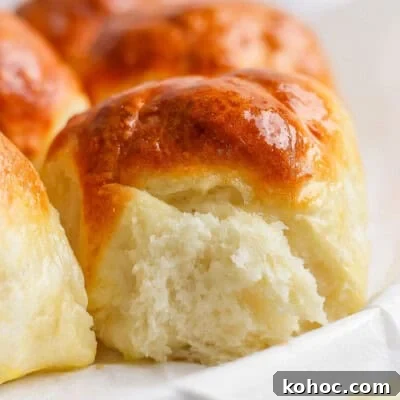 Freshly baked dinner rolls.