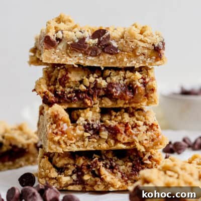Chocolate chip oatmeal bars.