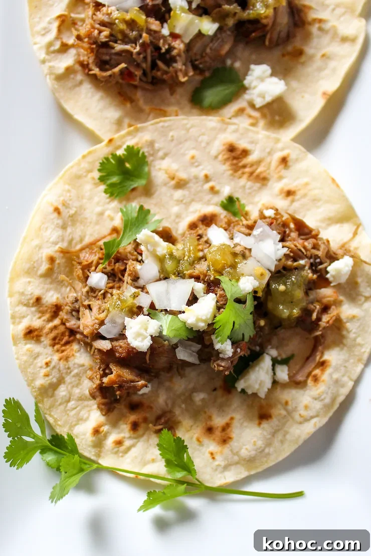 Close up of carnitas taco.
