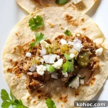 Close up of carnitas taco.