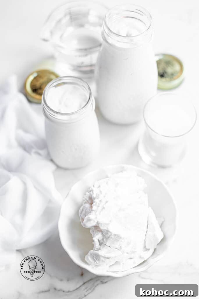 Creamy Homemade Coconut Sorbet Recipe 3 top down view of ingredients in coconut sorbet