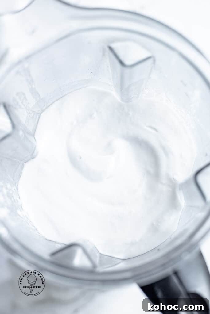 Creamy Homemade Coconut Sorbet Recipe 4 ingredients in coconut sorbet in a blender jar