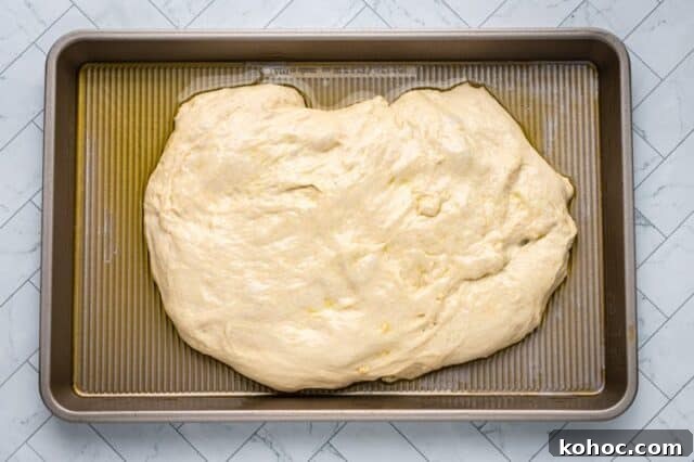 How to Make Focaccia in a Bread Machine 3 dough in the pan for bread machine focaccia.