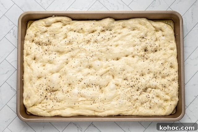 How to Make Focaccia in a Bread Machine 4 dough spread out in the pan and dimpled all over.