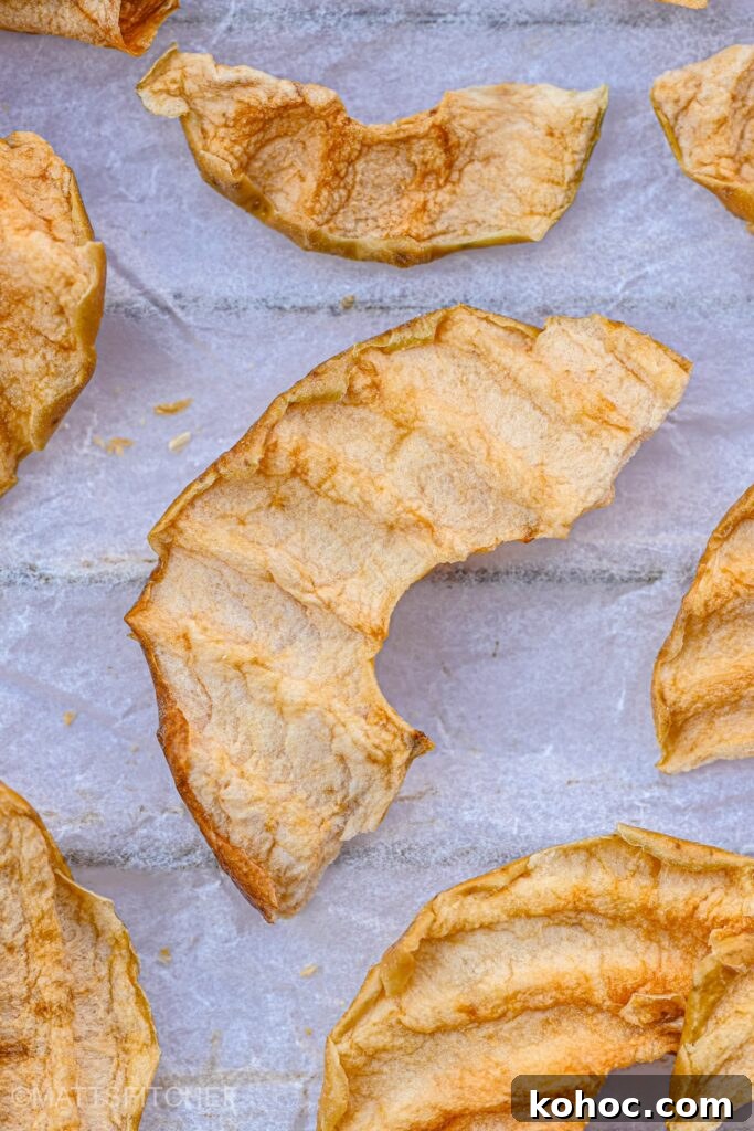 Crispy Homemade Apple Chips Recipe for Snacking and Gifts 2 Apple Chips