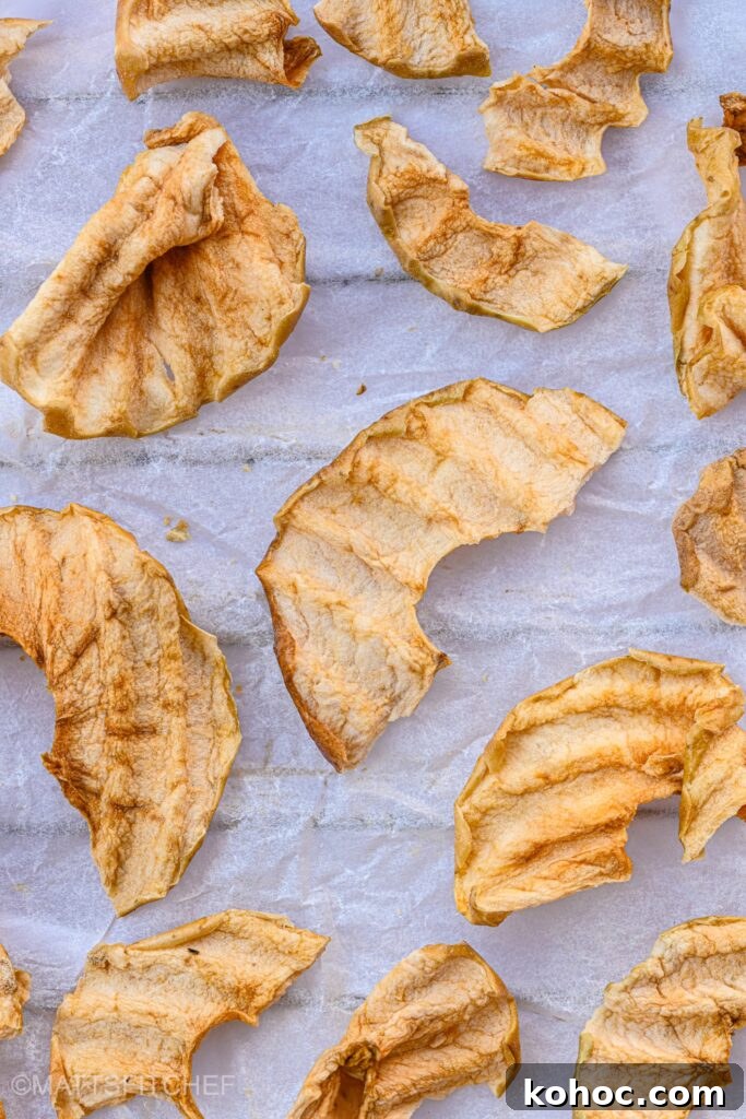 Crispy Homemade Apple Chips Recipe for Snacking and Gifts 3 Apple Chips